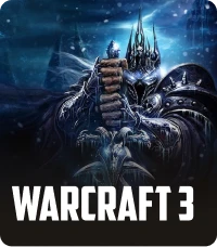 warcraft 3